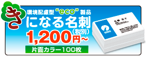 環境配慮型eco製品　木になる名刺